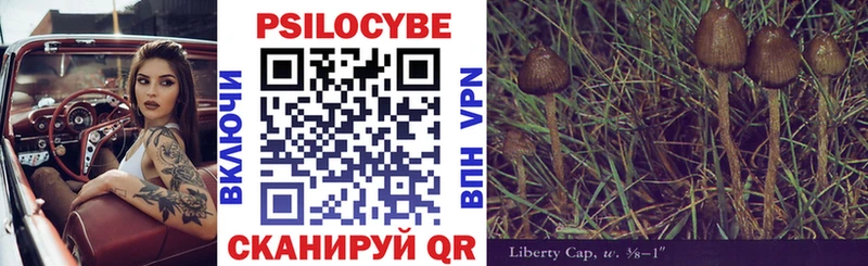 Псилоцибиновые грибы Cubensis Макарьев
